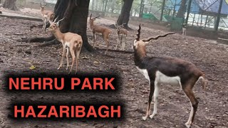 NEHRU PARK HAZARIBAGH [upl. by Tallu]