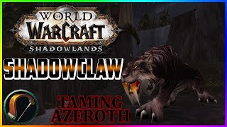 Shadowclaw  Taming Azeroth Episode 30 [upl. by Bertie]