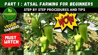 Part 1 Atsal Farming for beginners  1st Month  Seedling Stage [upl. by Haisej23]