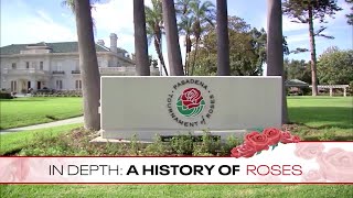 In Depth Rose Parade [upl. by Egidio15]