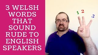 3 Welsh Words That Sound Rude To English Speakers [upl. by Enieledam]