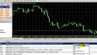 Metatrader 4 Tutorial by IamFX  Journal amp Experts [upl. by Aicats]