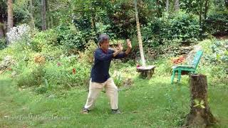 Shibashi  The 18 movements with instruction Tai ChiQigong [upl. by Reyaht]