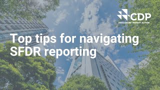 Top tips for navigating SFDR Reporting [upl. by Nnovahs]