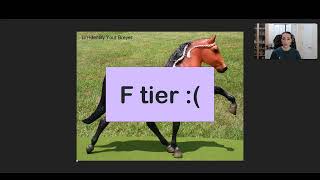 Tier Ranking Traditional Breyer Model Horses  Part 9 [upl. by Allemrac]