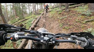 Quakey Mountain Trail  Colorado Singletrack in 4k [upl. by Edithe]