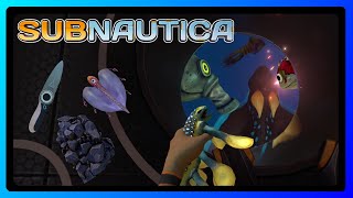 SUBNAUTICA  DE VUELTA A LA PISCINA [upl. by Lladnek733]