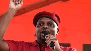 Deputy President of the EFF Floyd Shivambu at Umtata [upl. by Joceline]