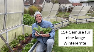 Die WINTERERNTE beginnt ❄️ die ertragreichsten Gemüse für die kalte Jahreszeit [upl. by Nylodnew]