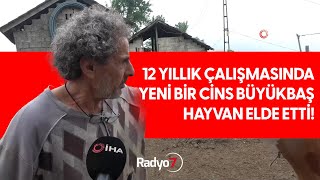 12 Yıllık Çalışmasında Yeni Bir Cins Büyükbaş Hayvan Elde Etti [upl. by Wiles]