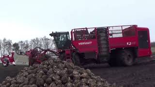 bieten rooien H van oosten en Bellingwolde Loonbedrijf Kaput oost Groningen farmers [upl. by Yatnuhs]