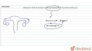 Mention the function of trophoblast in human embryo [upl. by Georas]