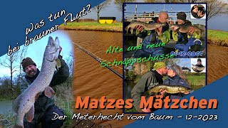 Matze Koch Meterhecht im Baum  Matzes Mätzchen 122023 [upl. by Wordoow520]