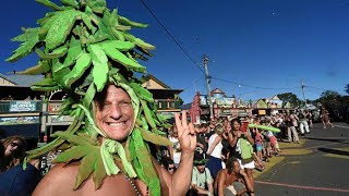 Speaker Jeremy Buckingham Legalise Cannabis Party NSW [upl. by Alasteir]