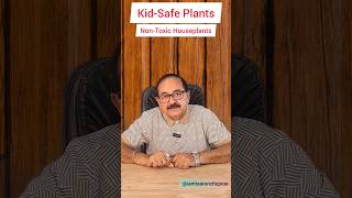 Kids Safe Plants I Non Toxic Indoor Plants indoorplants [upl. by Dearden]