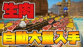 【ドラクエビルダーズ2】生肉を自動で効率的に集める方法とは？【DQB2】 [upl. by Suchta]