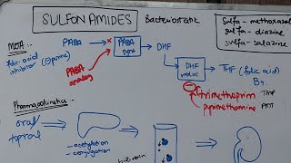 Sulfonamides SulfamethoxazoleTrimethoprim [upl. by Assyram]