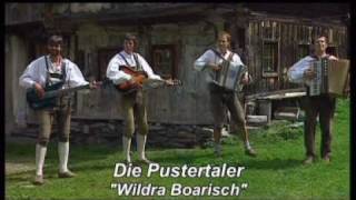 Die Pustertaler  Wildra Boarisch [upl. by Etnor585]