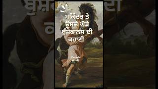 viralshorts horselover Sikander and his horse sikander facts [upl. by Maiah497]