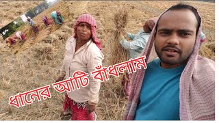 ধানের আটি বাধার দৃশ্য গ্রাম্য কৃষকের  Village Farmer  New Vlogs 2024 [upl. by Agbogla152]