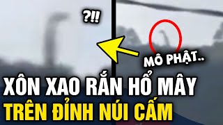 Xôn xao video người dân quay được SINH VẬT BÍ ẨN nghi là RẮN HỔ MÂY trên núi Cấm  Tin 3 Phút [upl. by Fabien]