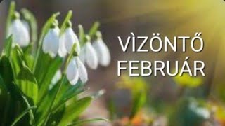 Vìzöntő♒️ februári energiák [upl. by Tews]