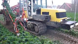 Morooka MK160S met Lauwers knolselderrooier [upl. by Etana]