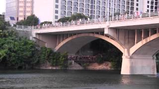 Sunset boat ride to watch the bats under the Congress Avenue Bridge in Austin TX [upl. by Nets]