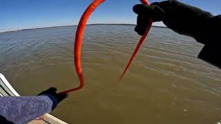 Magnet Fishing Toronto Lake Yates Center Reservoir [upl. by Roel443]