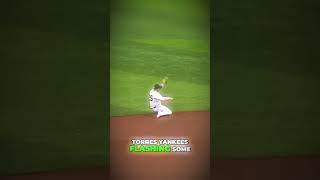 MLB Catch Highlights amp Epic Plays Must See Baseball mlb [upl. by Divd]