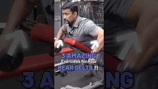 3 Amazing Exercises for Your Rear Delts  shorts [upl. by Law]