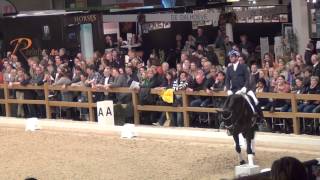 Everdaele kwpn  Den Bos 2014  Carl Hester [upl. by Ahseined]