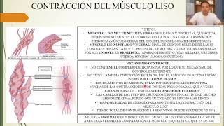 FISIOLOGÍA EXCITACIÓN y CONTRACCIÓN DEL MÚSCULO LISO [upl. by Mordy948]