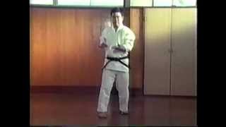 Okinawan GojuRyu Karatedo Katas Higaonna Sensei [upl. by Eeltrebor]