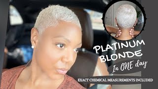 Platinum Blonde  How to Bleach Dark Brown Black to Platinum Blonde  Save Money and Do it Yourself [upl. by Ardnauqal]