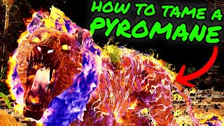 PYROMANE Easy Taming Guide How to Tame a Pyromane on The Center in Ark Survival Ascended [upl. by Aila949]