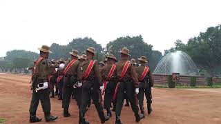 The Change of Guard Ceremony  PBG  Rashtrapati Bhavan  New Delhi  mipravasi [upl. by Ycnaf]