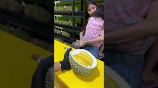 DURIAN MUSANGKING UNTUK DEDEK KOLIN durian musangking masduren [upl. by Isaacson]