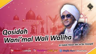 Qosidah Wanimal Wali Waliha Medley Ighfir Liman Qod Asya  Majlis Nurul Musthofa [upl. by Johnny]