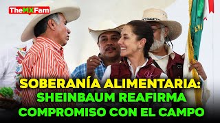 SHEINBAUM IMPULSA PROGRAMA quotCOSECHANDO SOBERANIAquot EN MÉXICO  TheMXFam [upl. by Esenahs307]