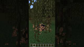 Minecraft horror shorts [upl. by Aneer]