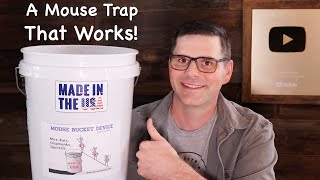 An Awesome and Simple Mouse Trap That Works The Mouse Bucket Device Mousetrap Monday [upl. by Keese]