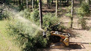 Forestry Mulching Brush Cutting amp Land Clearing [upl. by Olpe619]