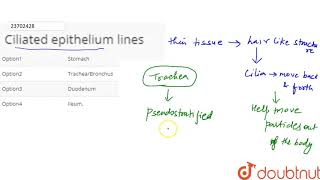 Ciliated epithelium lines [upl. by Yseulta]