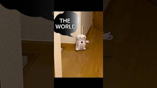 dios world subtitle shorts shortvideo jojo じょじょ funny tiktok [upl. by Ylerebmik]