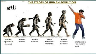 Trick To Learn Evolution Of Humans  Stages Of Human Evolution  NEET amp AIIMS [upl. by Jarrell]