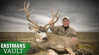 30Inch Buck Mike Eastman Hunts Mule Deer [upl. by Irahk]