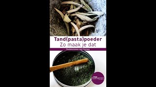 Stadstuinieren  Zo maak je Tandpastapoeder diy [upl. by Lime]