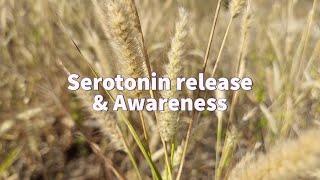 Serotonin release amp Awareness 10Hz Alpha waves 432Hz Base [upl. by Aitan]