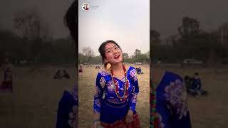 New Sonam Losar song  sarmila Tamang  bgmi shortsfeed tamangsong trending bgmi [upl. by January414]